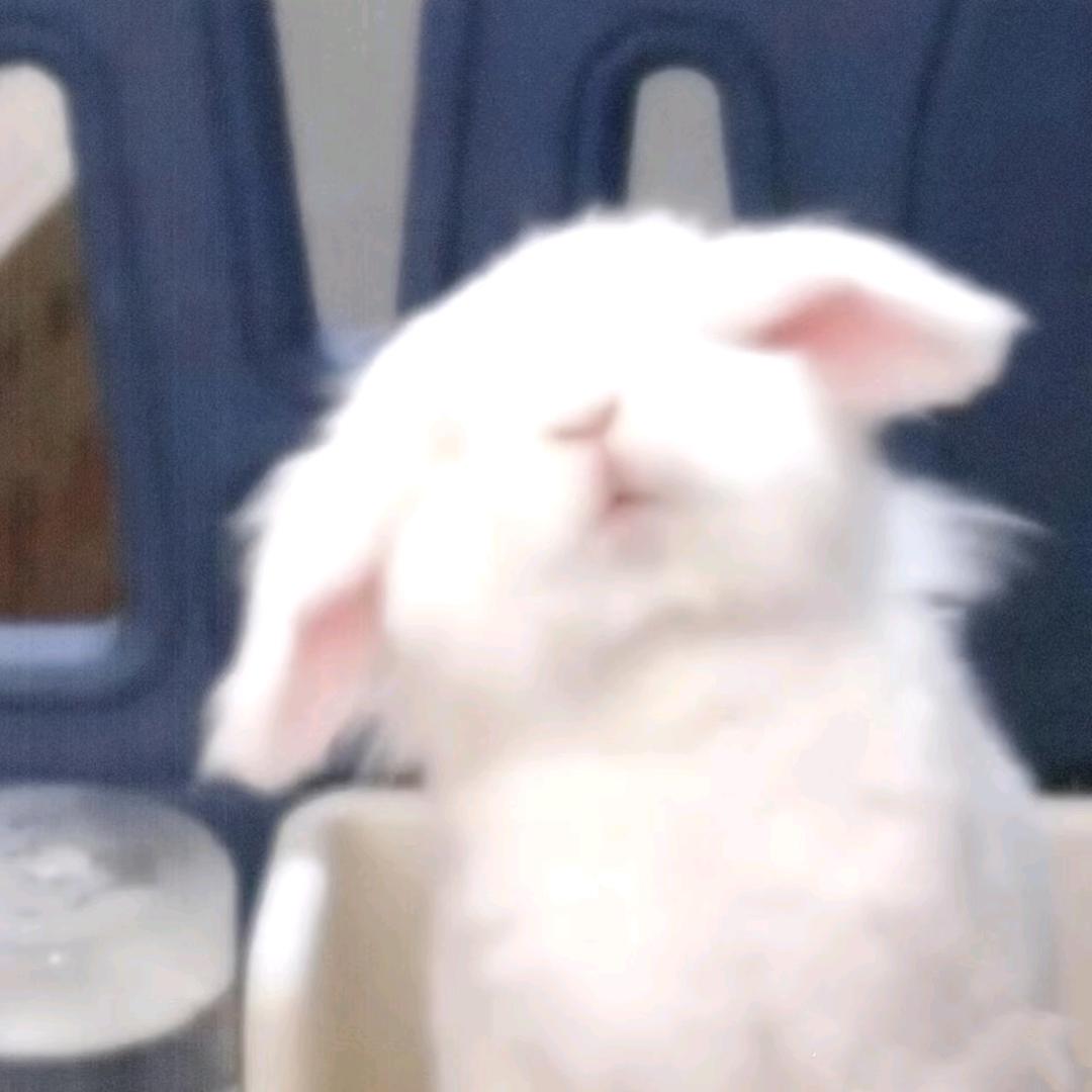 alalala