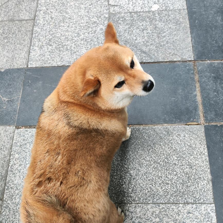 不如进厂拧螺丝