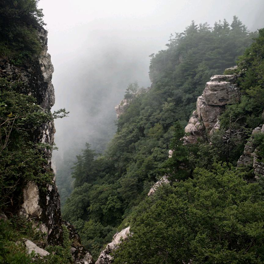 銳餘衈安