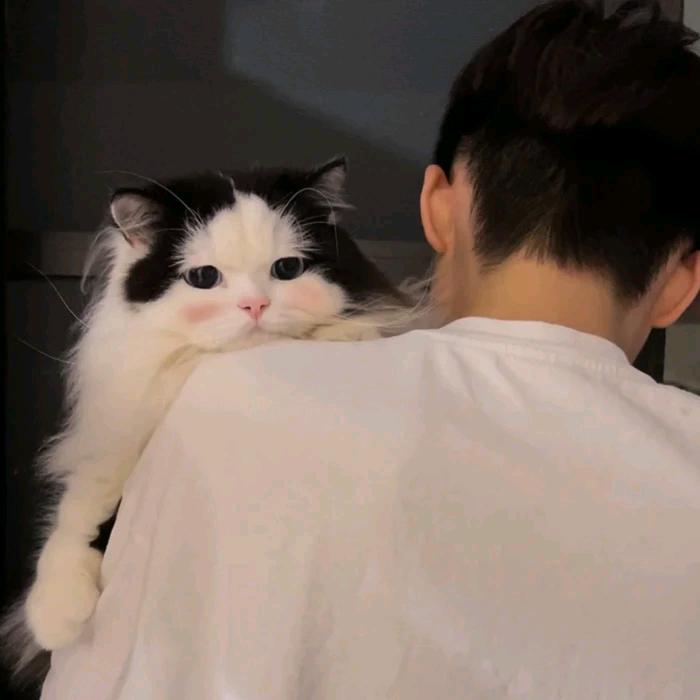 MOYU