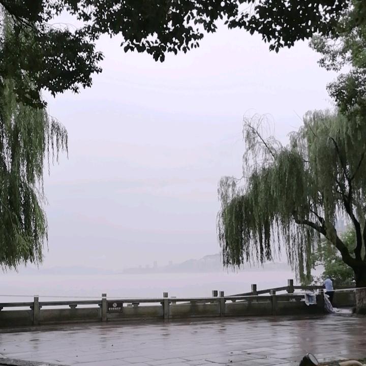 德哥《爱唱歌》