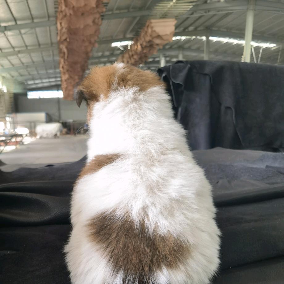 恩达皮革制品有限公司