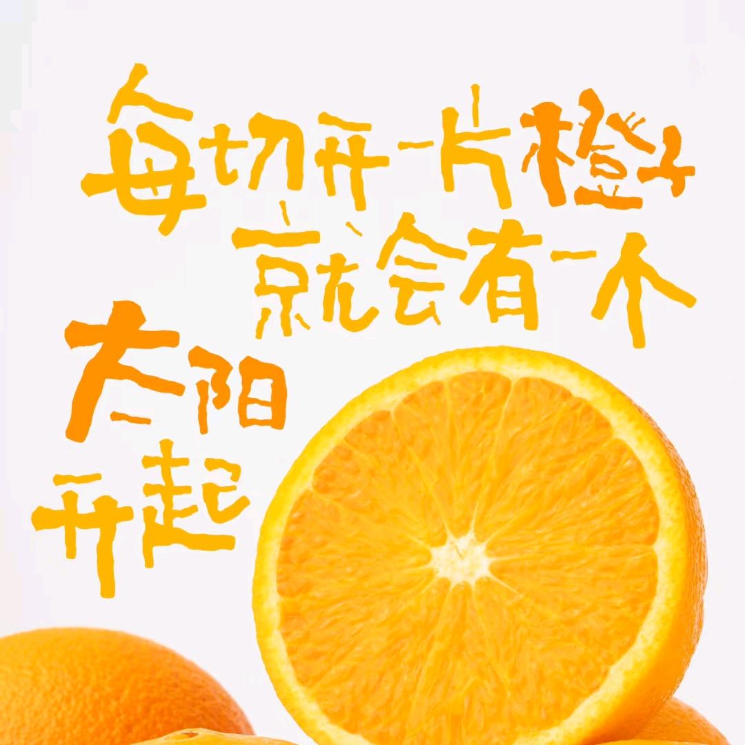 还是那个橙子