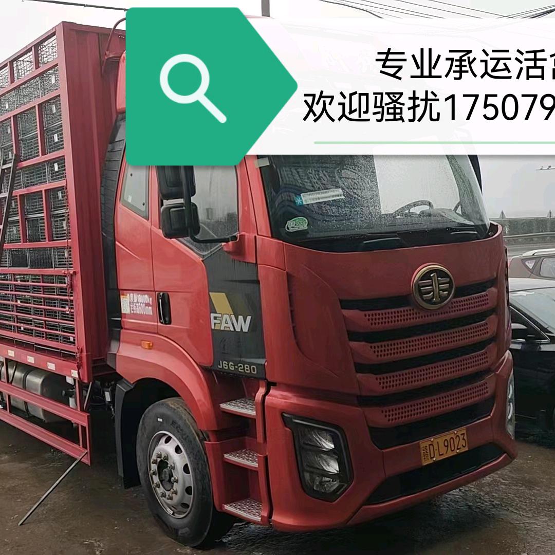 任你宰割