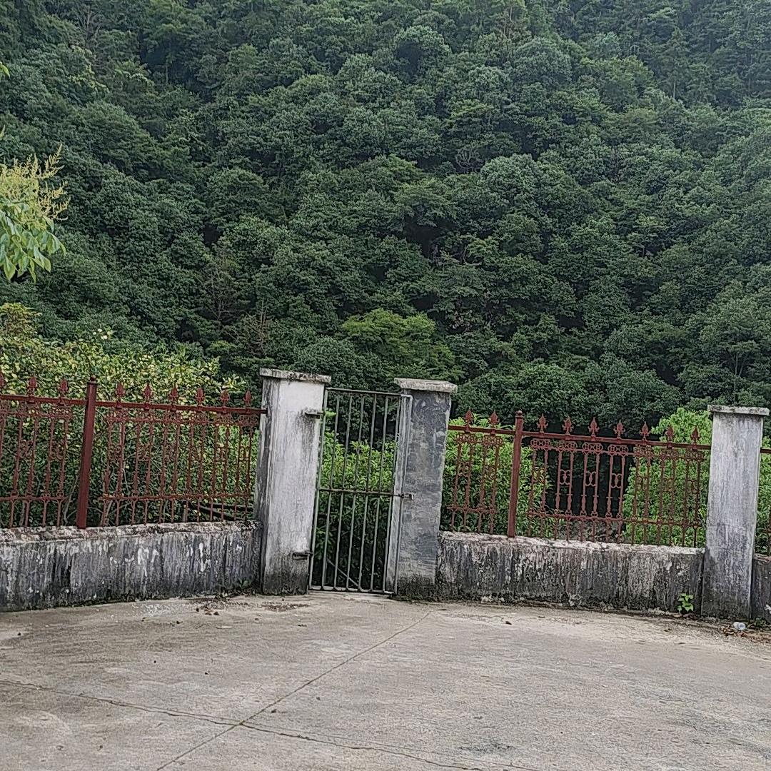 风风雨雨一切从来