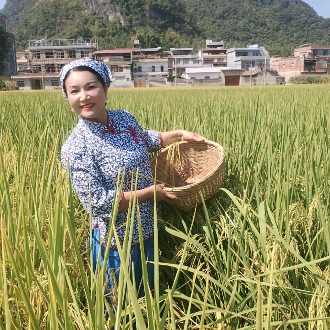农资鲜姐