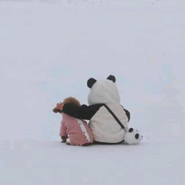 盛京大贝贝