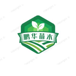 鹏华果树苗木专营店果树苗