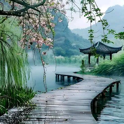 悠悠寸草心
