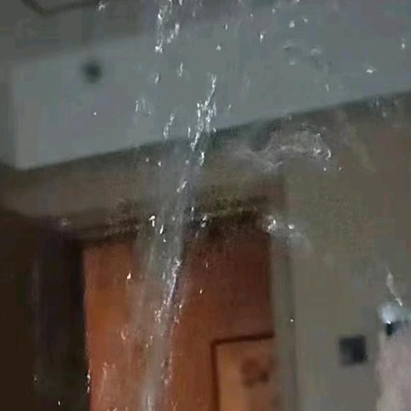含含