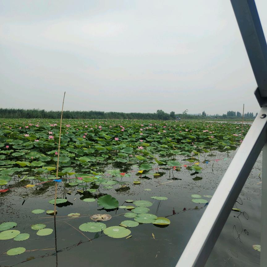 亳州市泥店乾坤农机销售