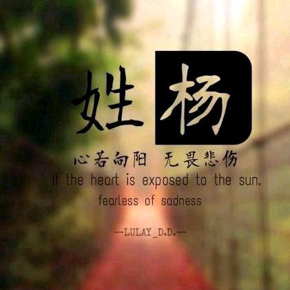 杨憨憨