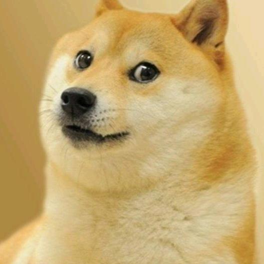 jnucnsv头像