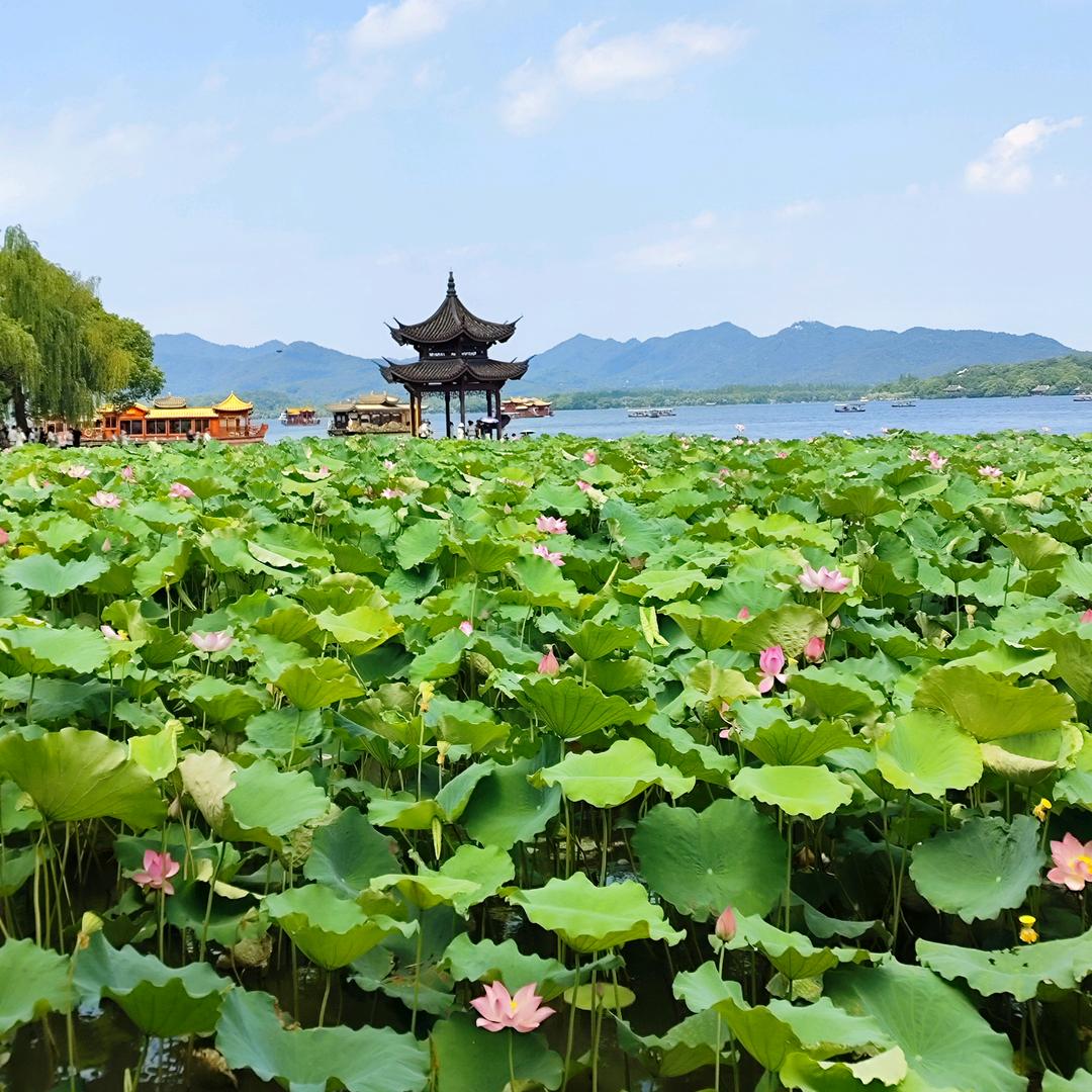 小泰