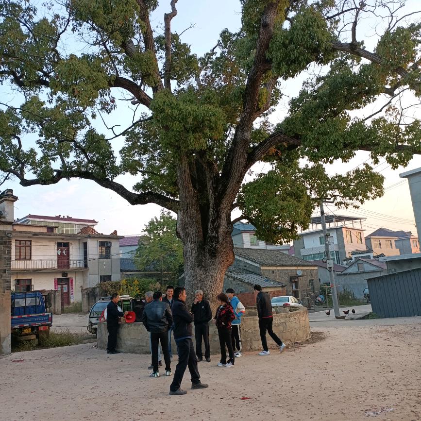 fUzhengjiao*为圆两梦奋斗