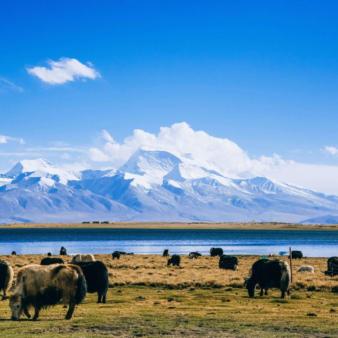 武穴装修玩歌(油工)