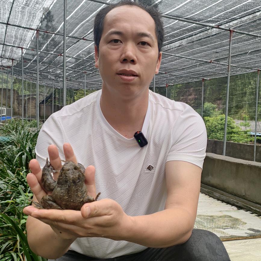 连山壮族瑶族自治县大山家庭农场
