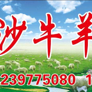 马尔沙牛羊肉店