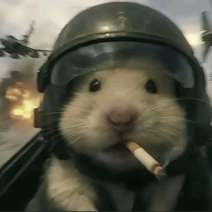 随风（接三角洲绿跑）