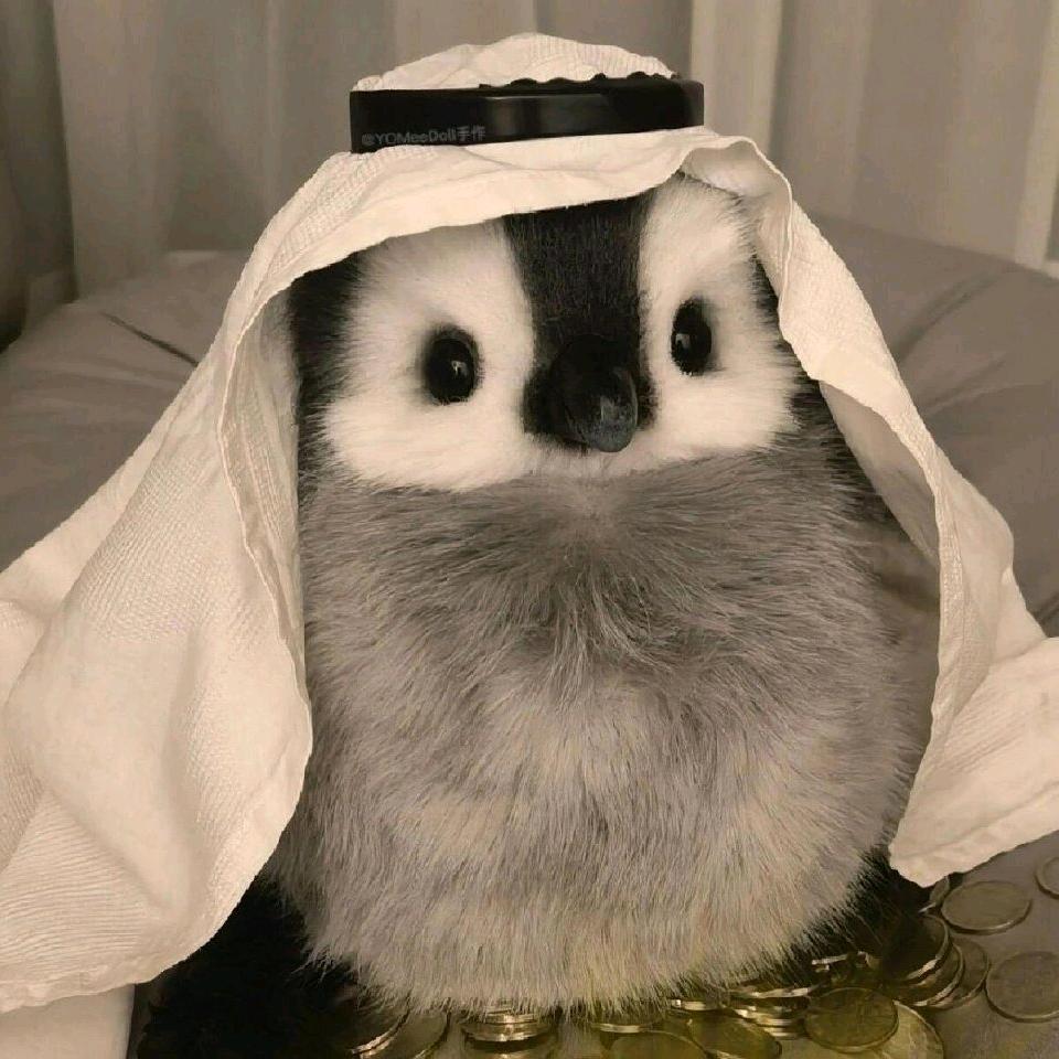 原味的大鹅⁹²⁹⁹