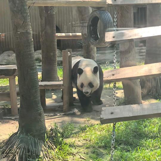 全家幸福