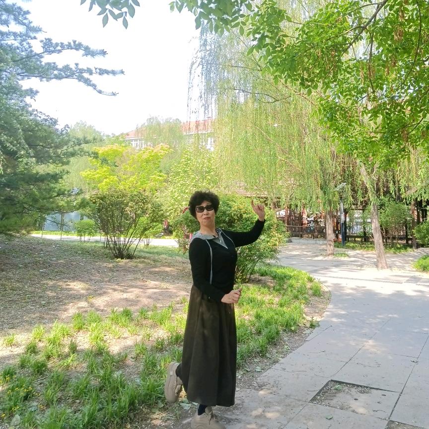 鲁慧