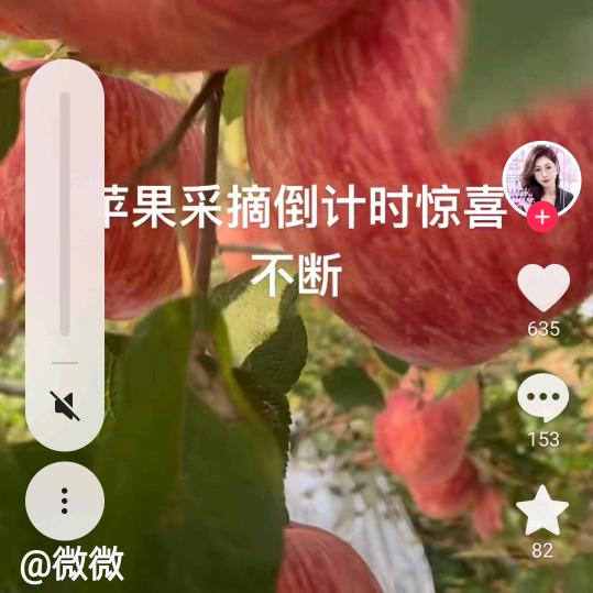 红苹果🍎