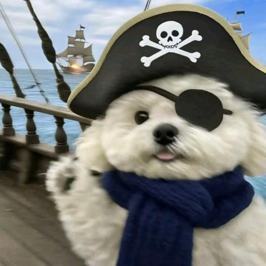 燕燕是个怪海盗（养成系）