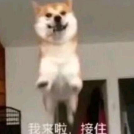 帅帅哒大男孩