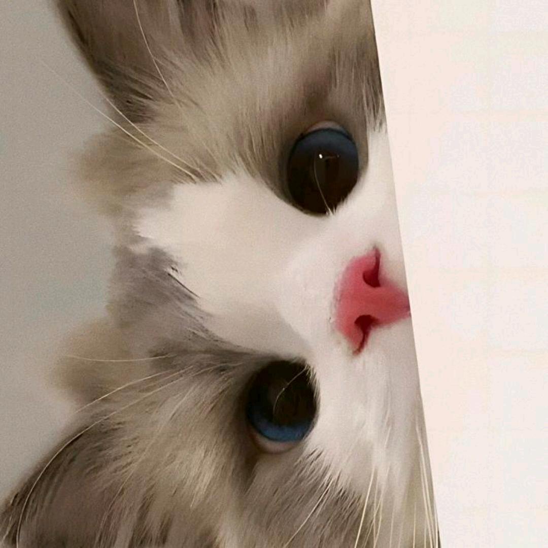 超爱可乐