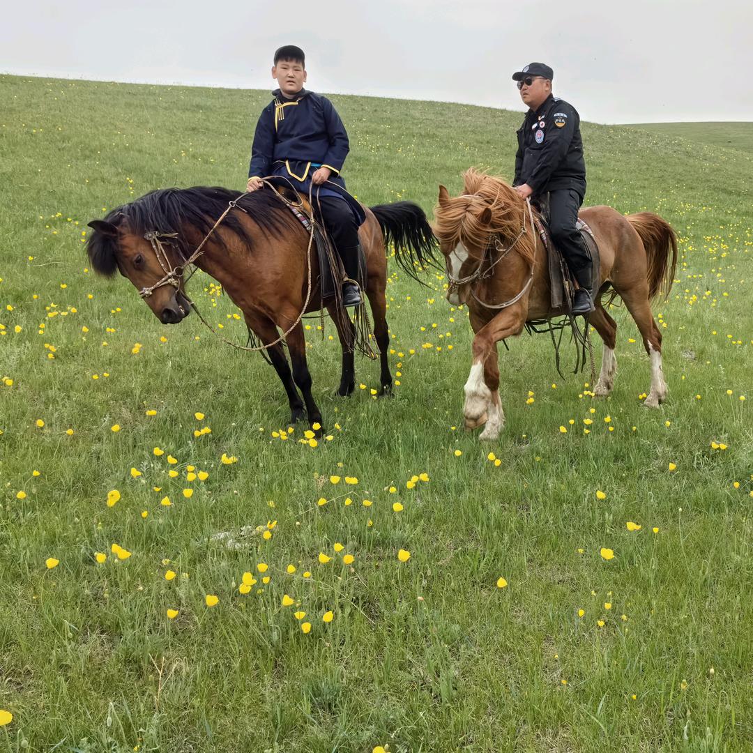 巴特尔家庭牧场