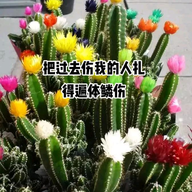 往事清零