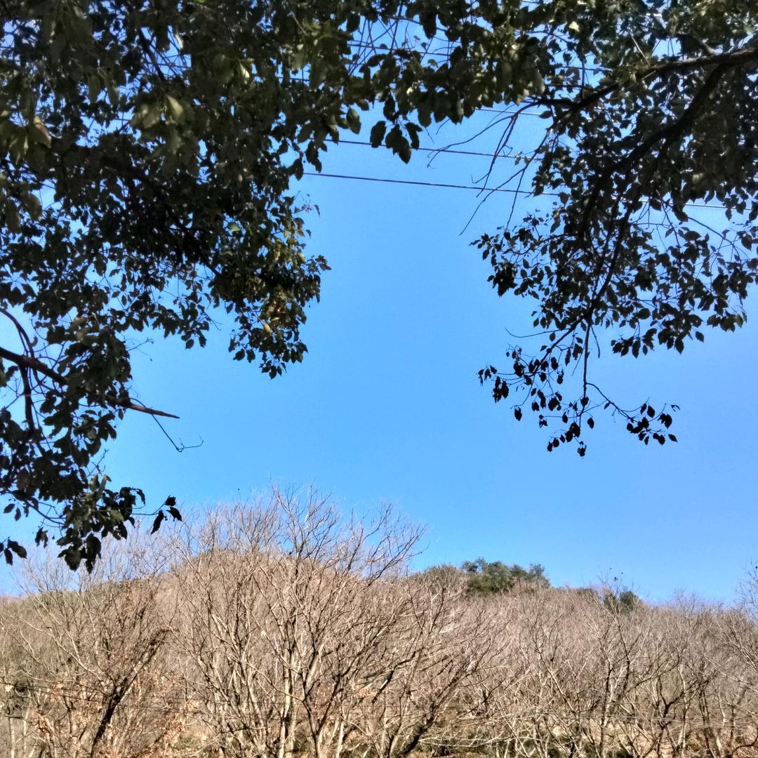 改变