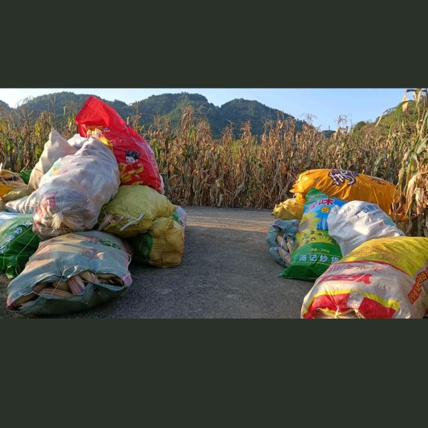 朗朗、朗朗、朗