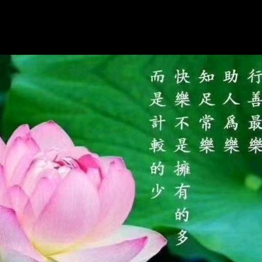 一份情，换来一身疼