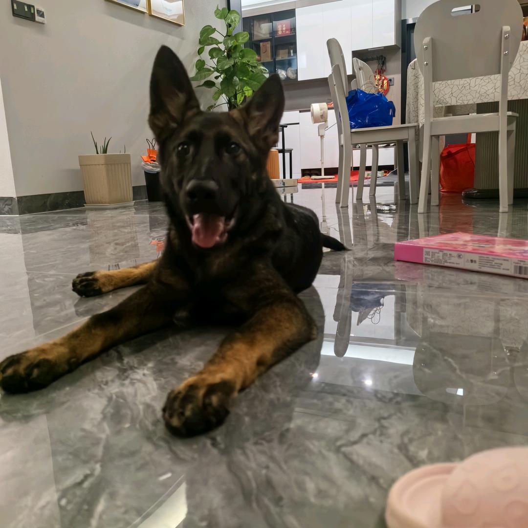 （透过大雾看清这座城市）