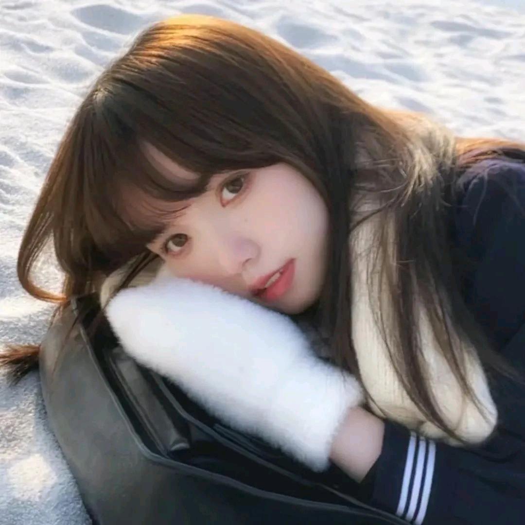 蘑菇菌子
