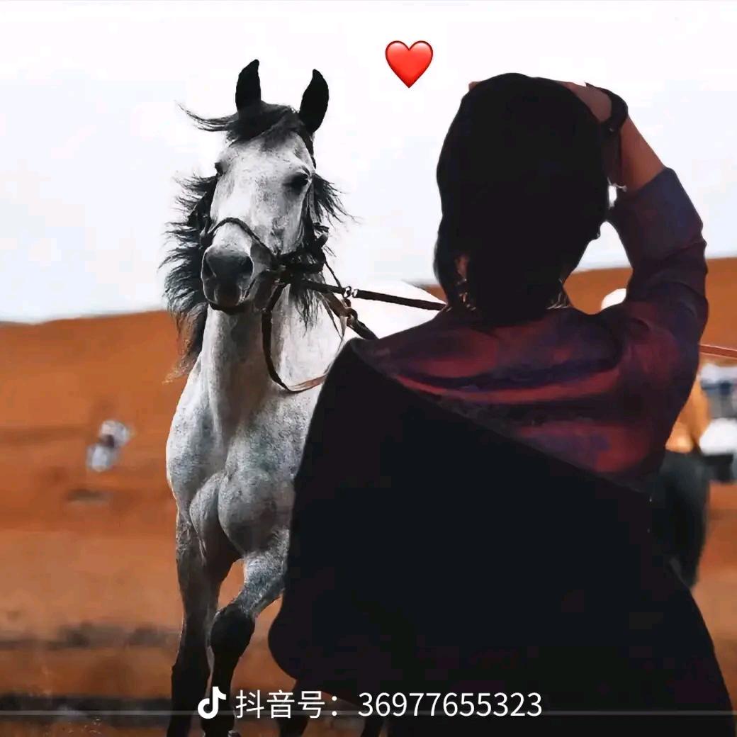 Ꭽℯ⃝落ঞᩚ幕꧔ꦿ᭄: Ꭽℯ⃝落🌷