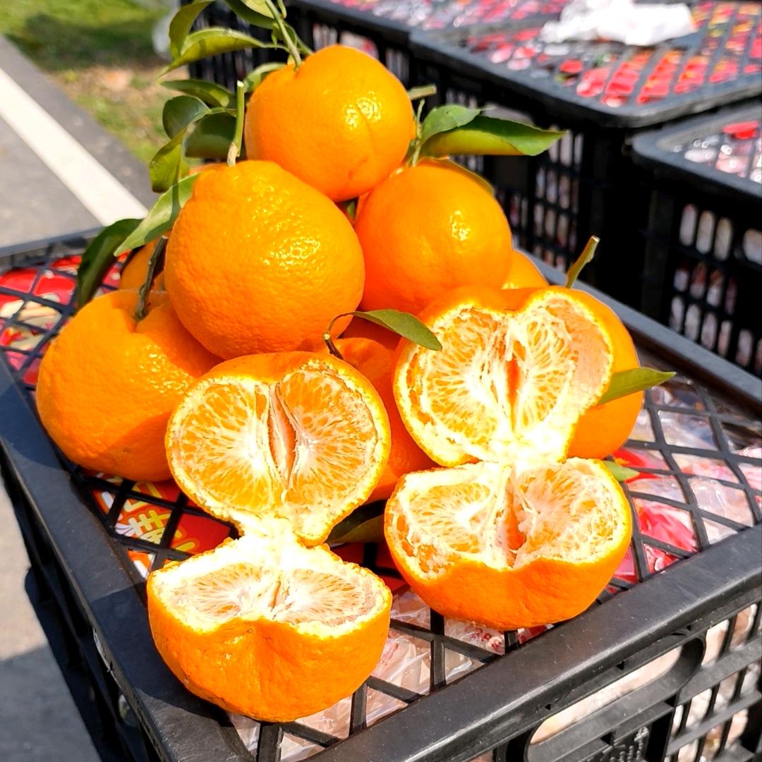 绵阳小王果蔬代办代收代卖