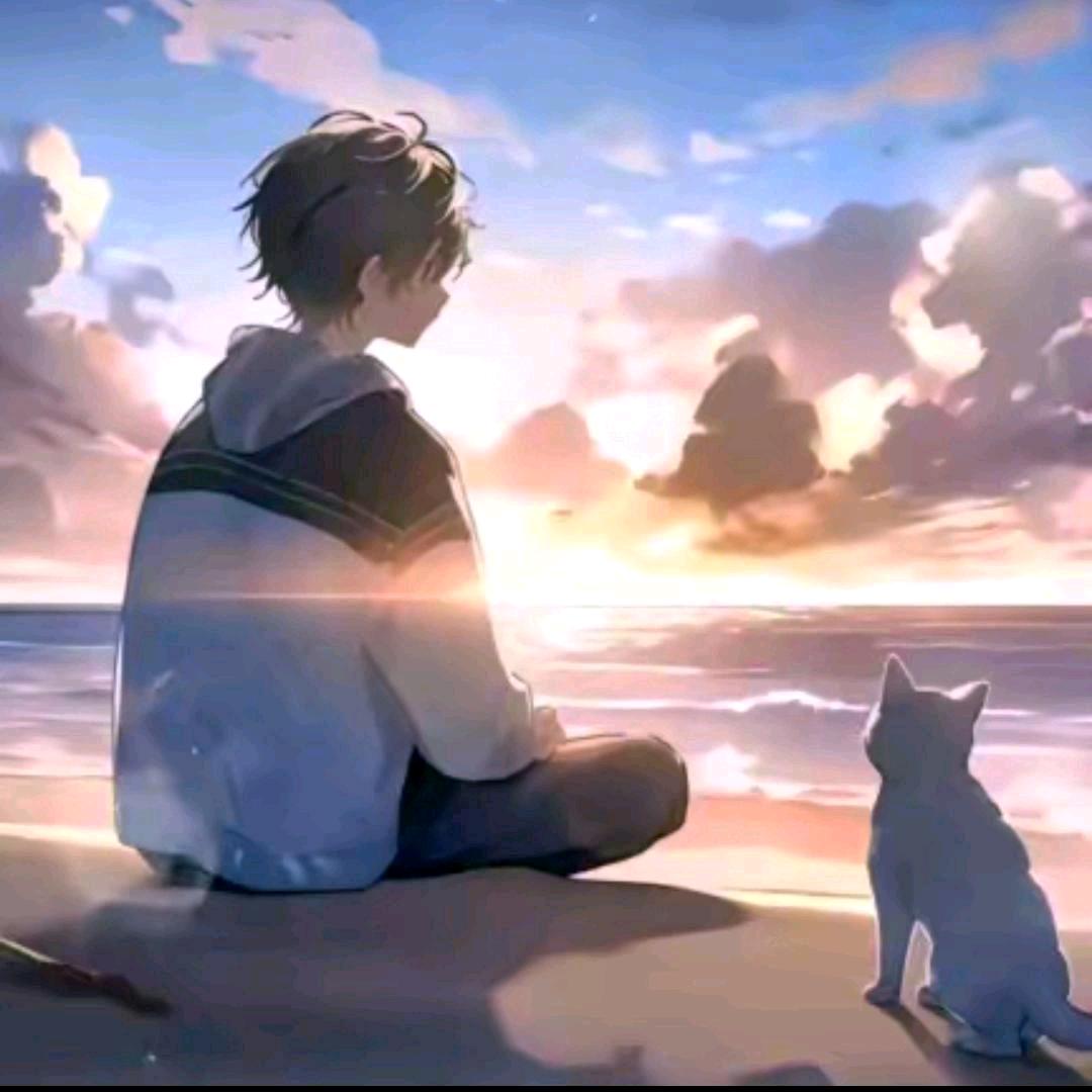 ✨路遥~