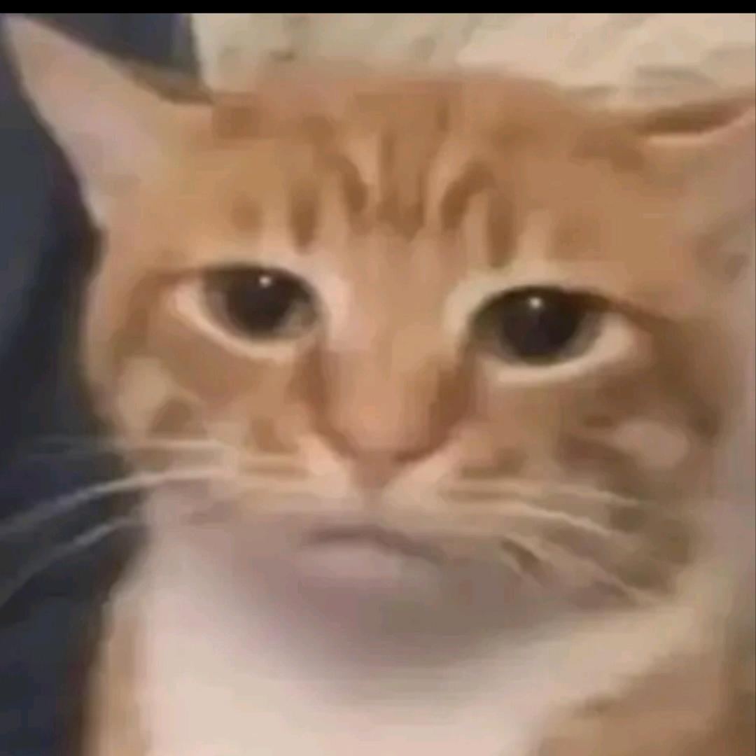 三角州行动一天半