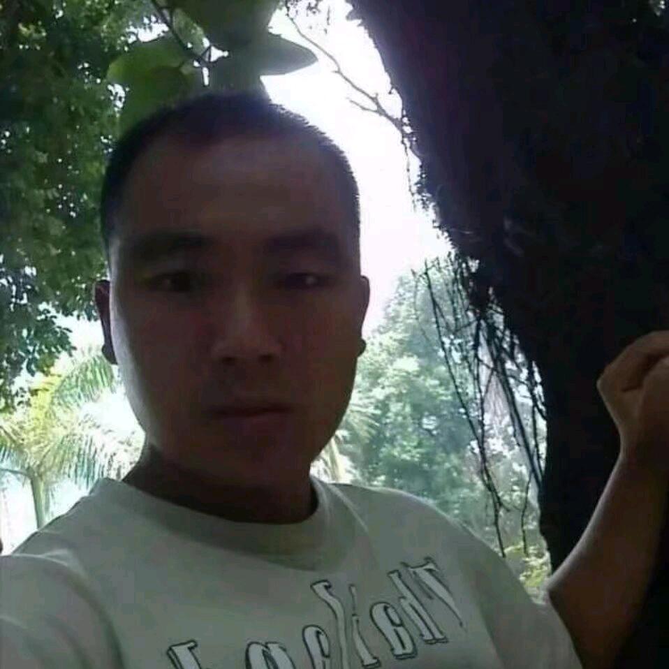 清风归客