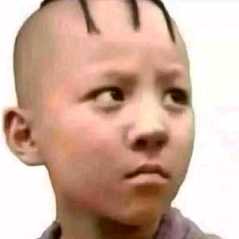 路六坐着飞机追蚊子