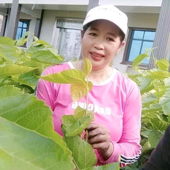 L.群姐