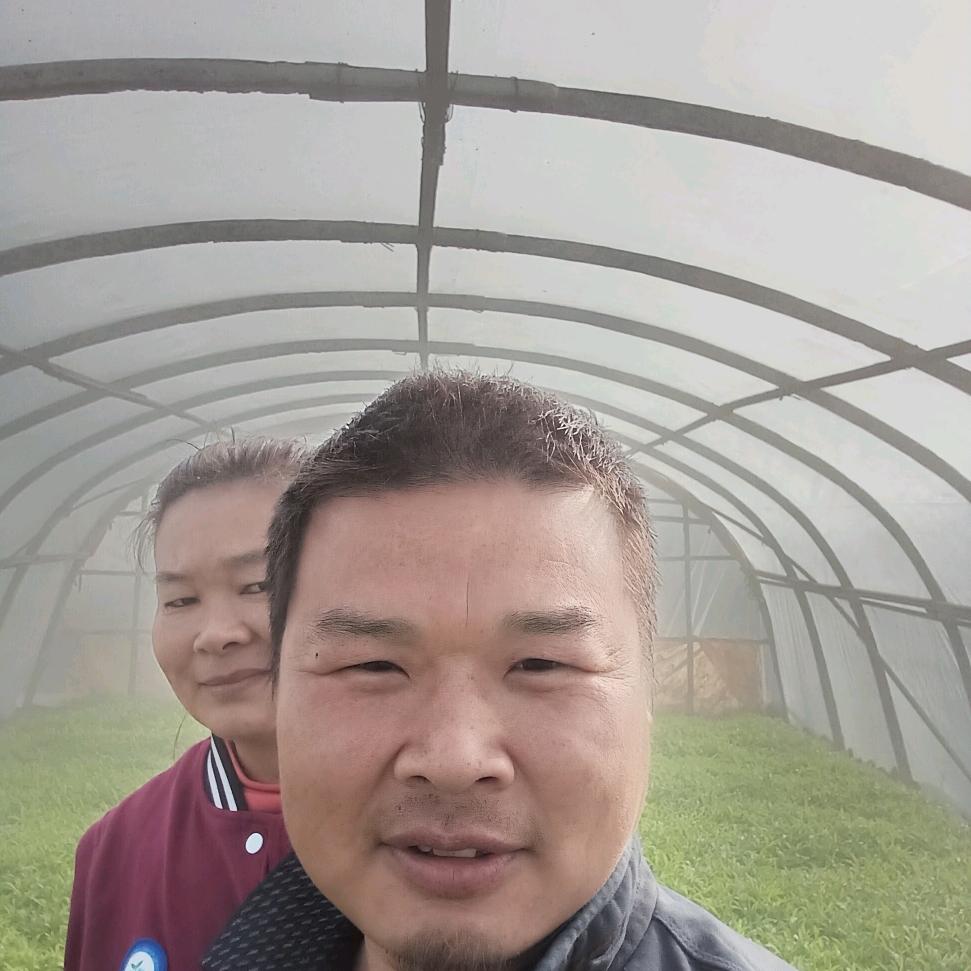 有情总被无钱伤，无💰言轻语也贫