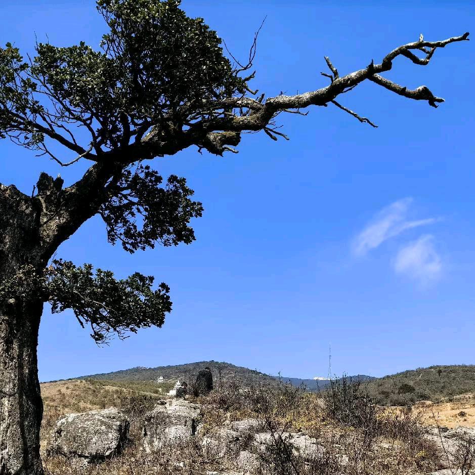 最凉不过人❤️