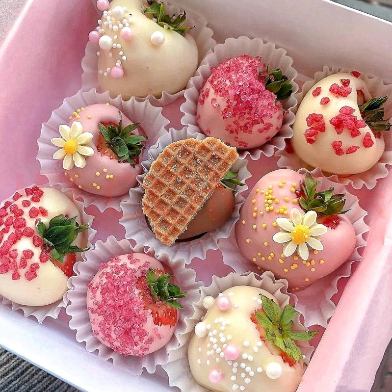 英语洋洋老师（速记单词）