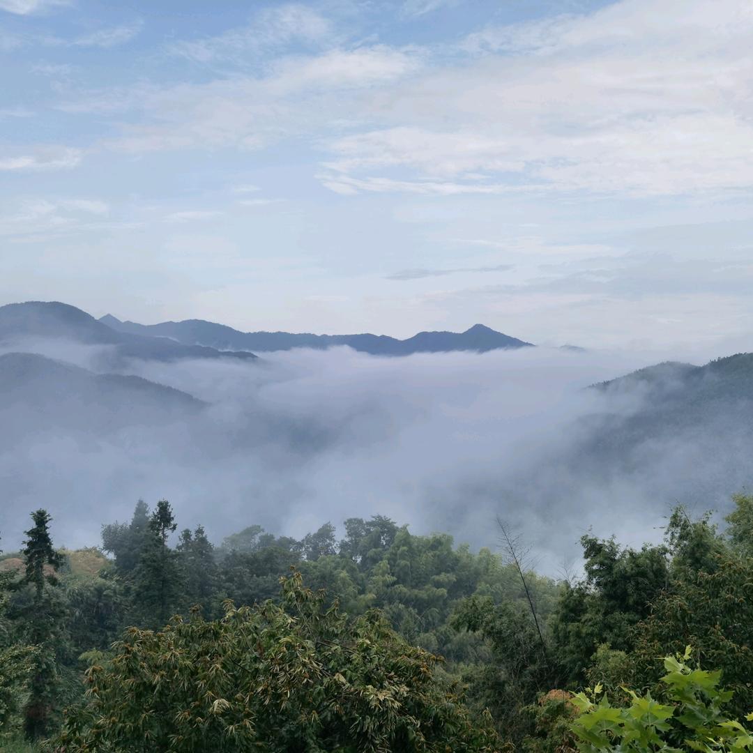 镇山牛