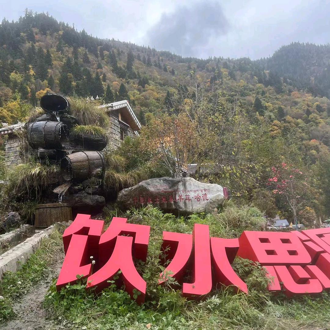 任务