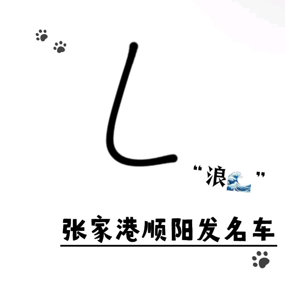 顺阳发车之航 阳总